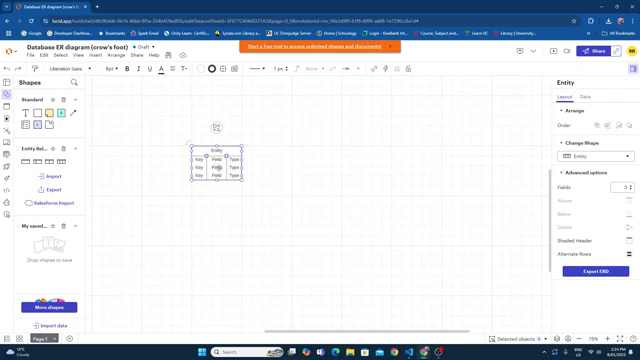 LucidChart ERD diagram being constructed — the three-field style (Key, Field Name, Data Type) maps directly to your SQLite table columns